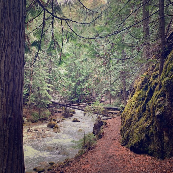 Meet your Posher, Brenna - Picture 1 of 1